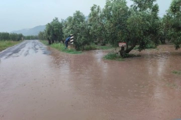 Orhangazi sele teslim oldu, yollar kapandı, evleri su batı