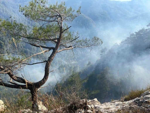 Orman yangını 28. saatte kontrol altına alındı
