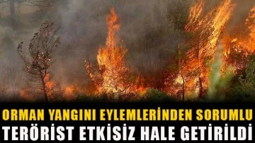 Orman yangını eylemlerinden sorumlu terörist etkisiz hale getirildi