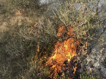 Orman yangını köylülerin müdahalesiyle söndürüldü
