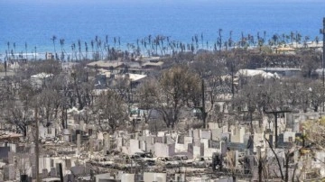 Orman yangını nedeniyle 850 kişi hala kayıp