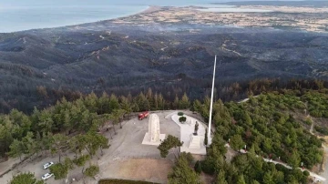 Orman yangını sonrası Tarihi Alan’ın Kuzey Hattı ziyarete açıldı
