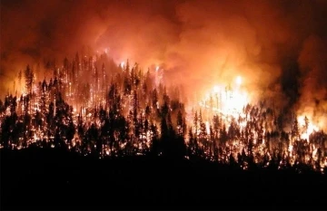Orman yangınlarına karşı caydırıcı devriye
