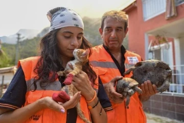 Orman yangınlarında hayvanların 'koruyucu melekleri'