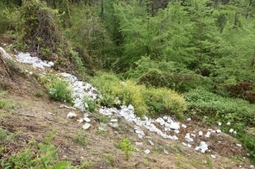 Ormana atılan çöpler tepki çekti
