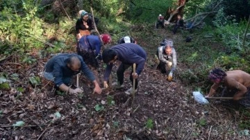 Ormanda insan kafatası ve kemikleri bulundu