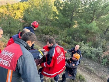 Ormanda yürüyüş hastanede bitti
