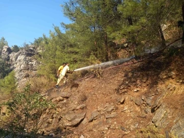 Ormanlık alanda çıkan yangın ağaçlara sıçramadan söndürüldü
