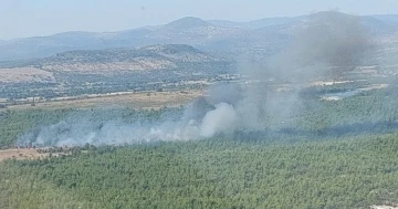 Ormanlık alanda çıkan yangın kontrol altına alındı
