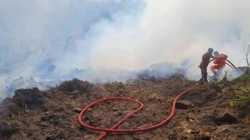 Ormanlık alanda çıkan yangına ekipler müdahale etti
