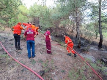 Örtü yangında 3 dekarlık alan yandı
