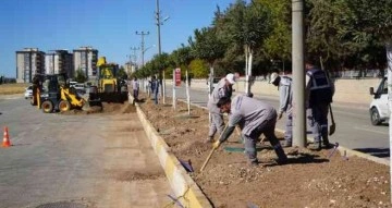 OSB yolunda ağaçlandırma çalışması