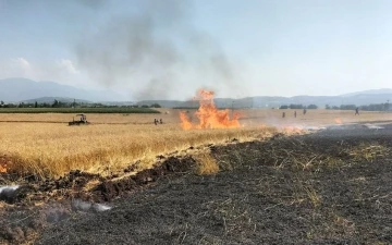 Osmaniye’de 10 dönüm buğday tarlası yandı
