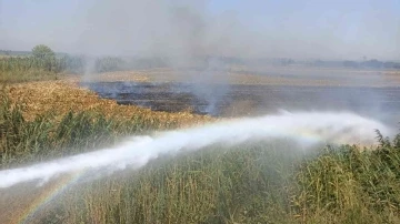 Osmaniye’de çıkan anız yangını söndürüldü
