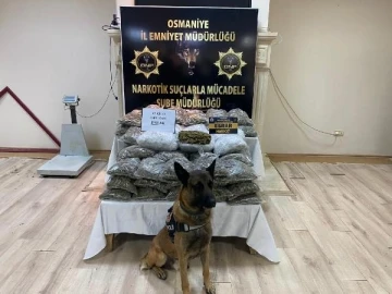 Osmaniye’de durdurulan TIR'da 45 kilo 750 gram uyuşturucu ele geçirildi