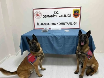 Osmaniye’de jandarmadan uyuşturucu operasyonu
