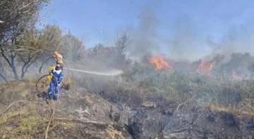 Osmaniye’de Kastabala Kuş Cenneti’nde çıkan yangın söndürüldü
