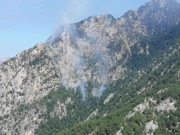 Osmaniye’de orman yangını
