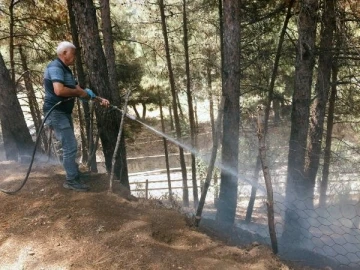 Osmaniye'de orman yangını 