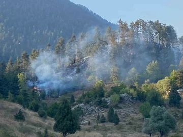 Osmaniye’deki orman yangını kontrol altına alındı
