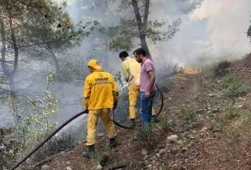 Osmaniye Düziçi ilçesinde orman yangını başladı
