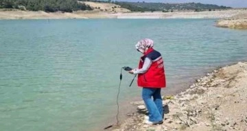 Osmaniye’de Buğdaycık göleti, balıkların yaşam alanı için uygun bulundu