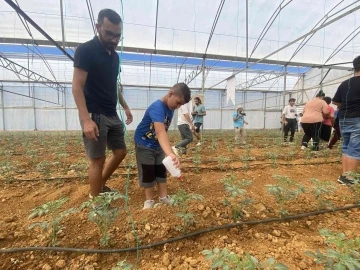 Otizmli gençler domates serasına faydalı böcek bıraktı
