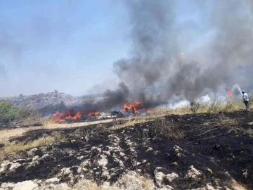 Otluk alandaki yangının tarihi kaplıcalara sıçraması son anda önlendi
