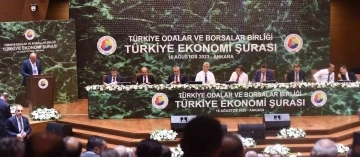 Özakalın, Türkiye Ekonomi Şurası’nda Erzurum’un sorunlarını anlattı
