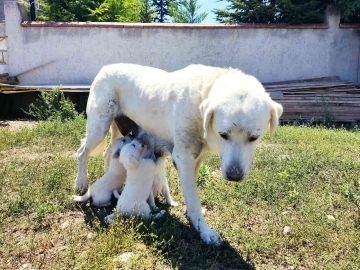 (ÖZEL) Anne Akbaş’tan yürek ısıtan görüntüler
