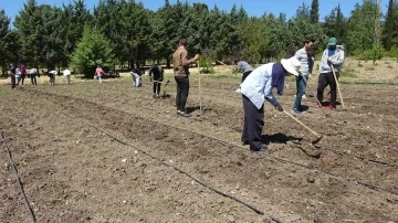 (Özel) Kapıdaki gıda krizi için çözüm üretimden geçiyor’
