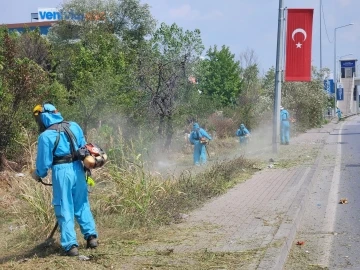 Park ve bahçelerde sonbahar temizliği
