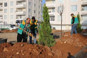 Parklarda kışa hazırlık çalışmaları yapılıyor
