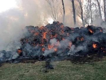 Pasinler’de ot yangını
