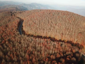 Perşembe Yaylası’nda sonbahar güzelliği
