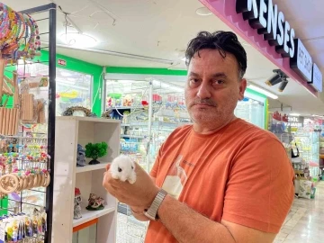 Pet shop’lardan alınan hayvanlar geri getiriliyor
