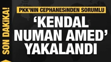 PKK'lı terörist "Kendal-Numan Amed" yakalandı
