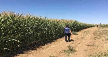 Polisin elinden kaçan hırsız yakalandı