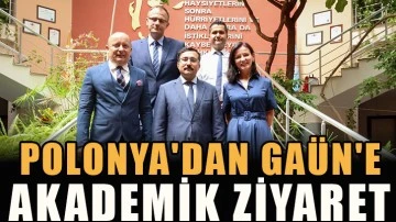 Polonya'dan GAÜN'e akademik ziyaret