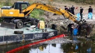 Polonya Oder Nehri'nden 100 ton ölü balık çıkardı