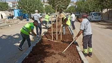 Refüj ve kavşakların bakım, onarım çalışmalarına devam ediyor
