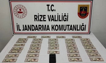 Rize’de ’sahte dolar’ operasyonu: 1 gözaltı
