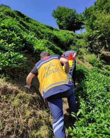 Rize’de yamaçtaki çay bahçesinden yuvarlanan şahıs sedye ile 400 metre taşınarak hastaneye sevk edildi
