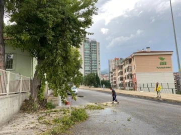 Rüzgar ağaçları devirdi, yıldırım düşmesi böyle görüntülendi
