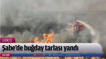 Şabe’de buğday tarlası yandı