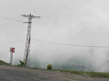 Sahara ve Ilgar geçidinde yoğun sis ulaşımı olumsuz etkiliyor
