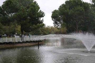 Sakarya’da sonbahar manzarası
