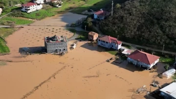 Sakarya Nehri taştı, tarım arazileri sular altında kaldı
