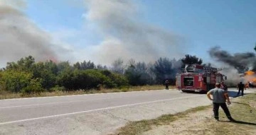 Saman yüklü tır alev aldı, yangın ormanlık alana sıçradı