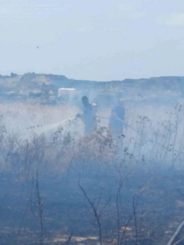 Samandağ’da çıkan çalılık yangını söndürüldü
